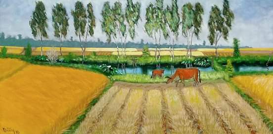 Tranh vẽ nông thôn VN cánh đồng lúa chín vàng AmiA TSD 508