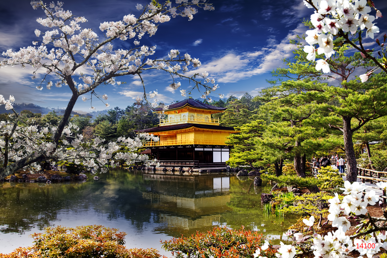 Đất Nước Nhật Bản là một trong những địa điểm du lịch hấp dẫn nhất thế giới. Khám phá vẻ đẹp tuyệt vời của Nhật Bản qua các hình ảnh liên quan đến đất nước này!