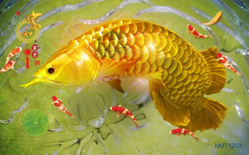 Tranh dán tường 3D cá đẹp lộng lẫy