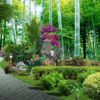 Tranh dán tường 3D Khu vườn thần tiên