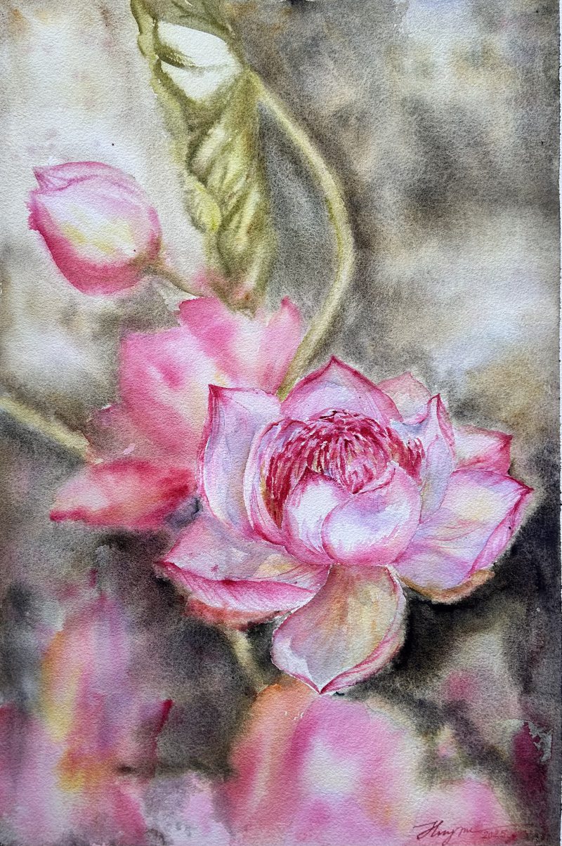 Supper lotus