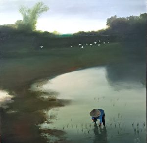Gieo lúa ngày mới