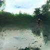 Painting DTL -16
