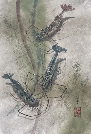 Tôm