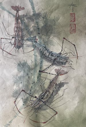 Tôm