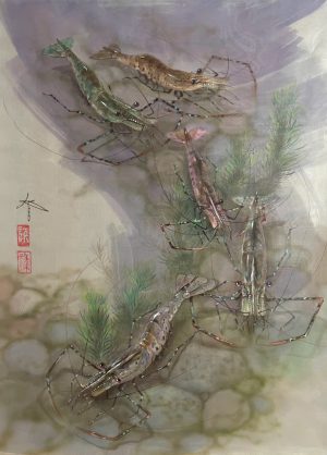 Tôm