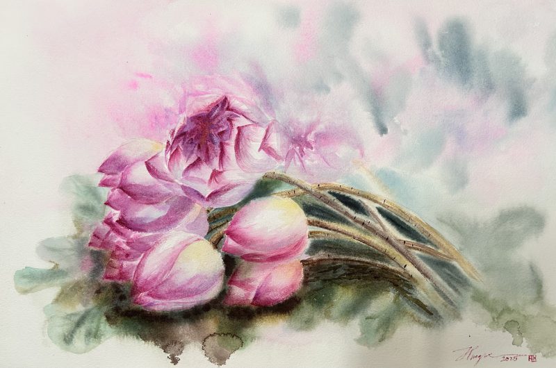 Bó sen hồng