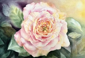 Rosa Claude Monet