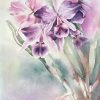 202403 Hong Phuc Huong thoi gian 38x56cm mau nuoc 2024 4tr5