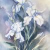 202405 Hong Phuc Iris awakening 3856cm mau nuoc 2024 350EUR