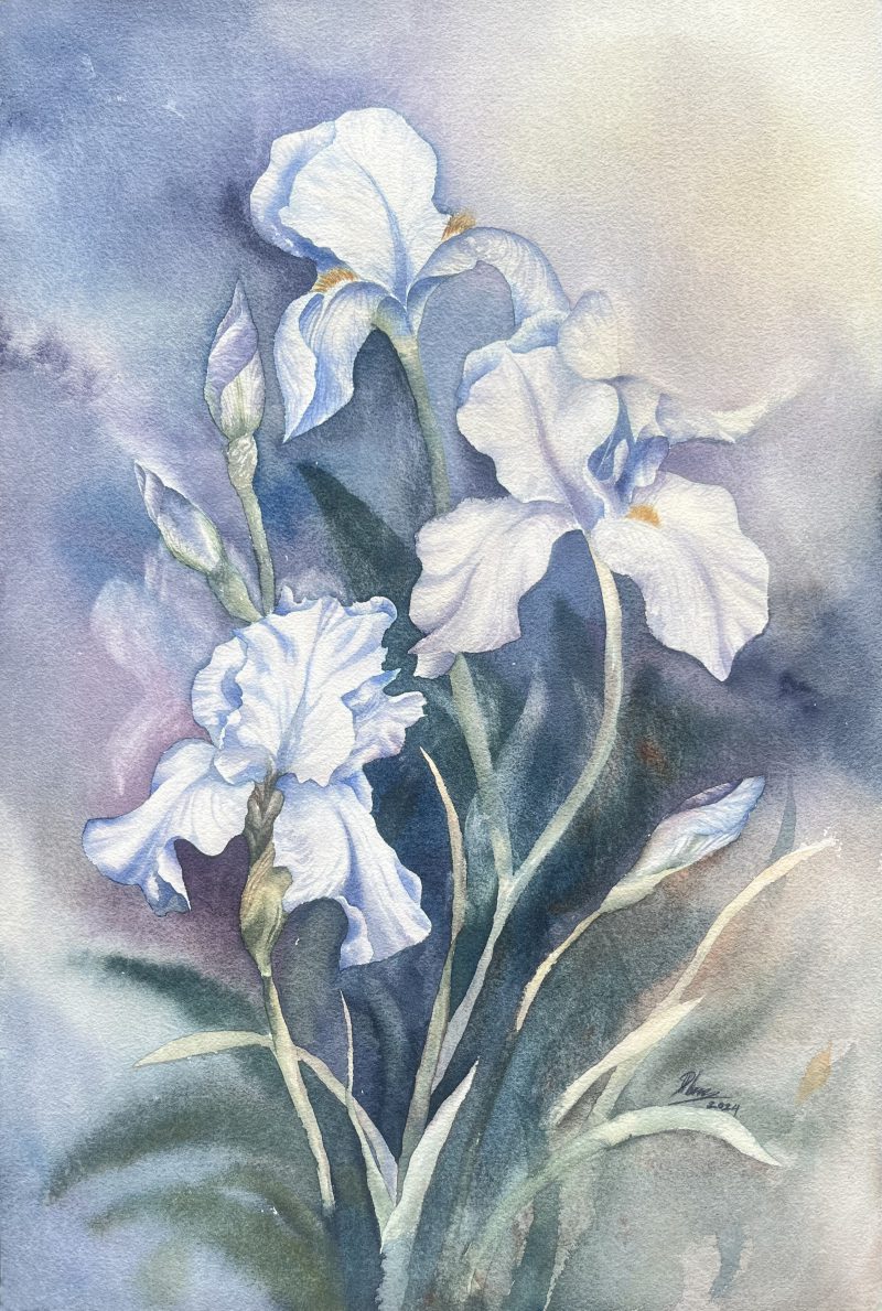 202405 Hong Phuc Iris awakening 3856cm mau nuoc 2024 350EUR scaled
