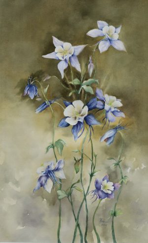 Vũ Khúc Miền Cao