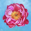 Peony