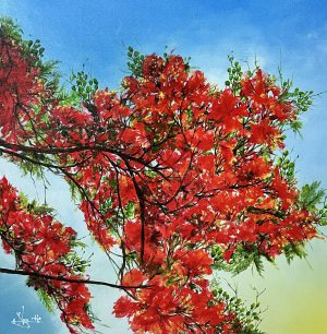 Phượng vỹ