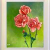 Rose (3)