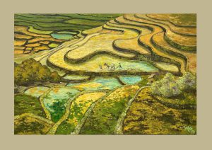 Nắng vàng Tây bắc