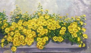 Bình yên góc nắng