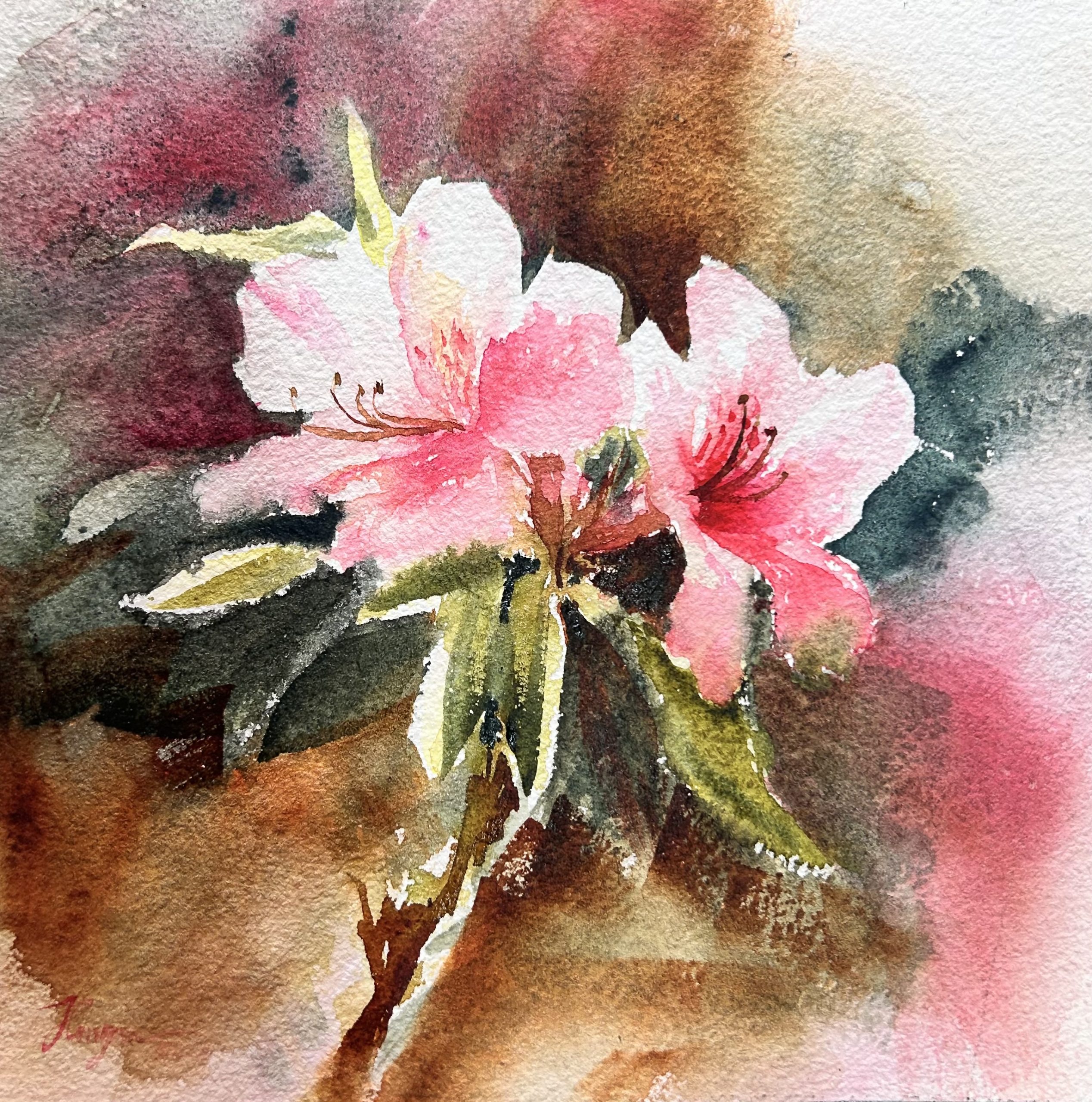 IMG_3266 IMG 3266 scaled