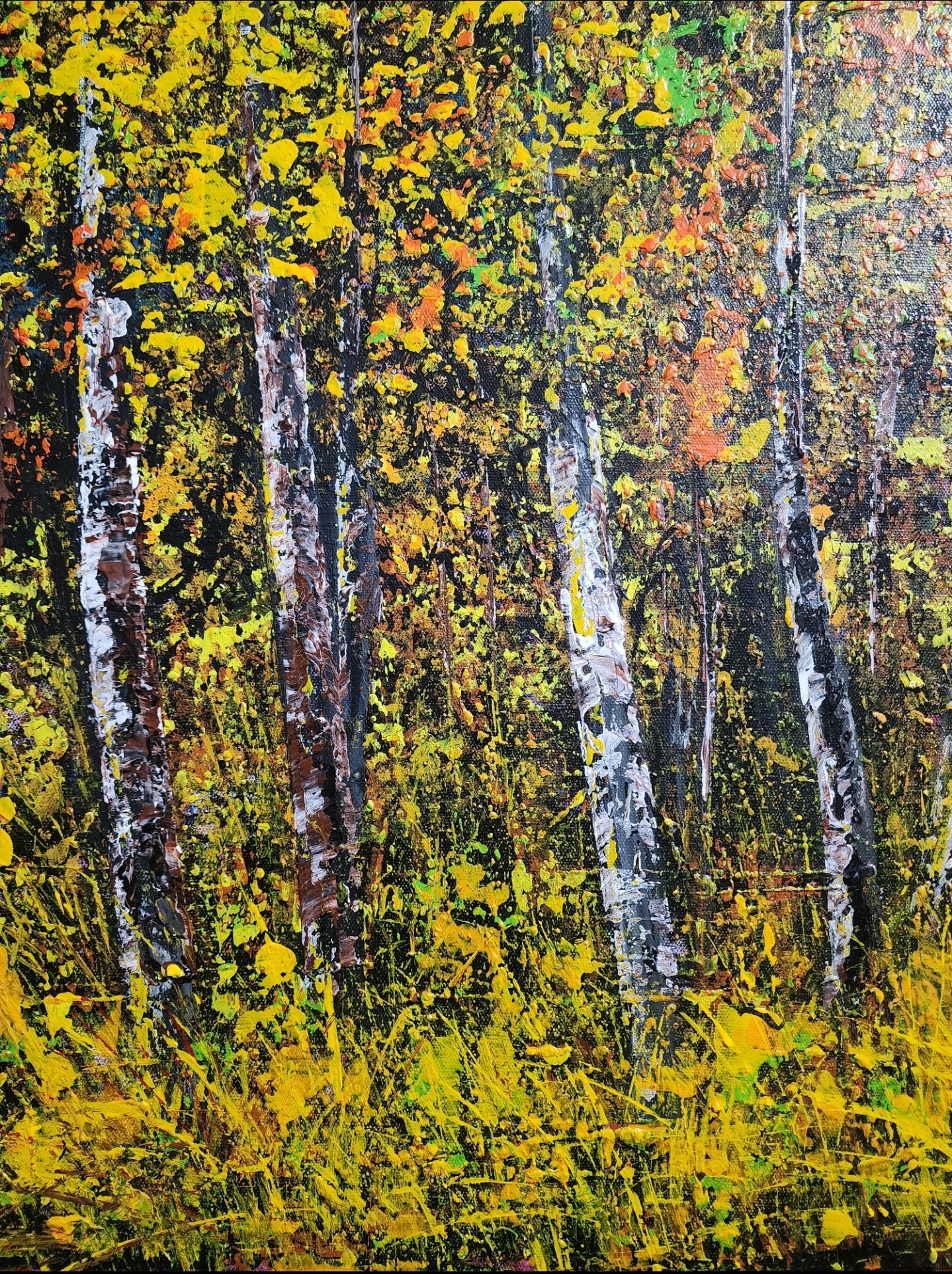 1000031426 1000031426