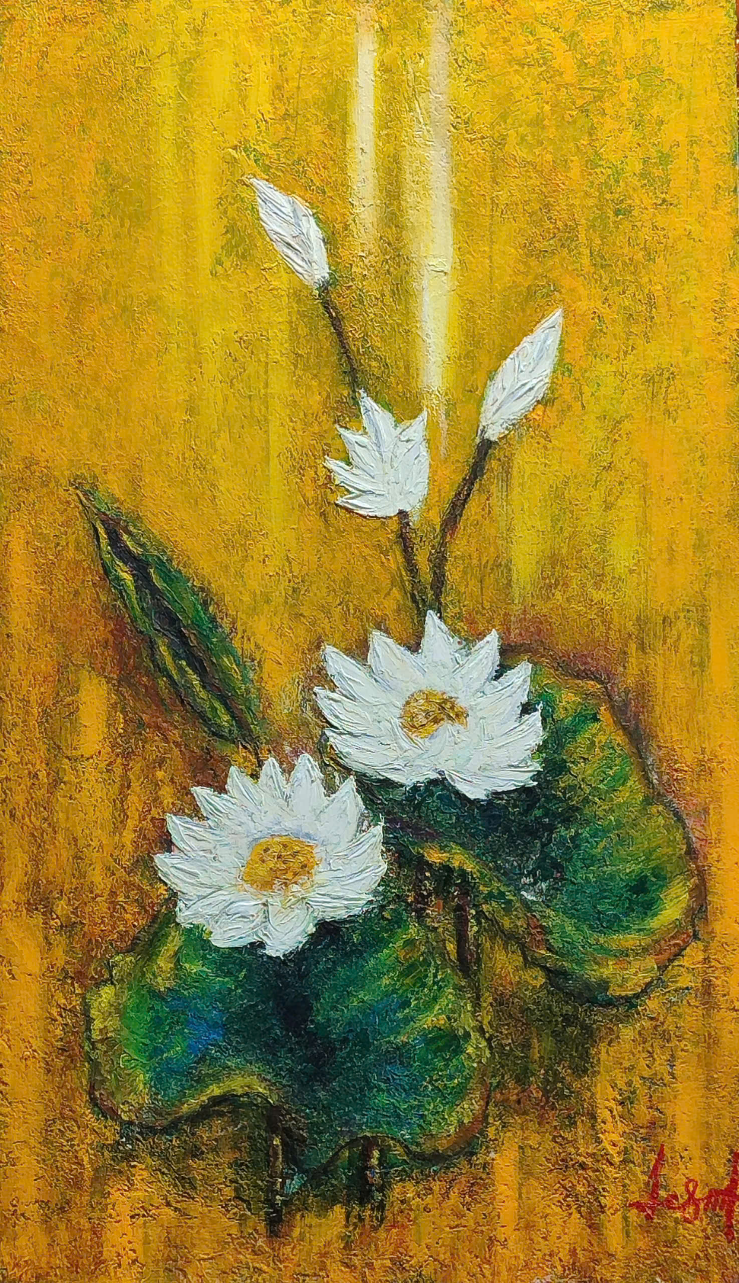 Sen Trắng Sen Trắng